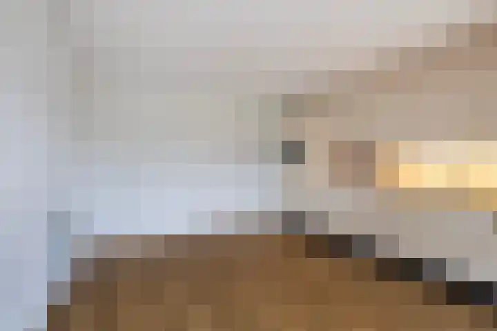Smeetsmastins 18 Leeuwarden thumbnail 15