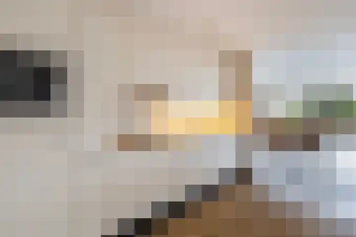Smeetsmastins 18 Leeuwarden thumbnail 16