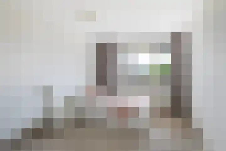 Smeetsmastins 18 Leeuwarden thumbnail 18