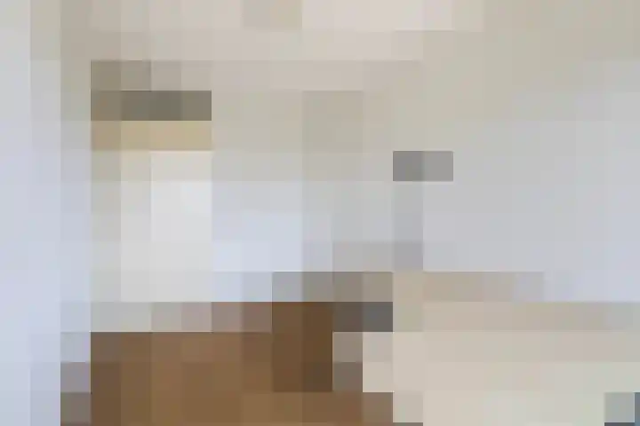 Smeetsmastins 18 Leeuwarden thumbnail 21