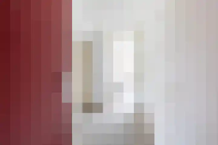 Smeetsmastins 18 Leeuwarden thumbnail 26