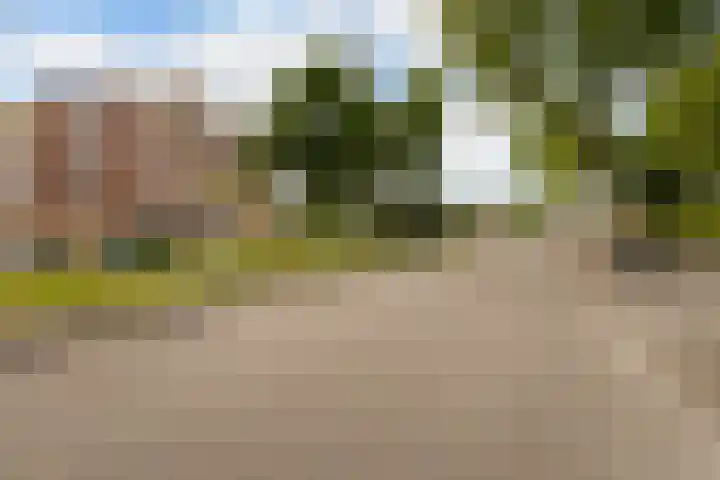 Smeetsmastins 18 Leeuwarden thumbnail 7