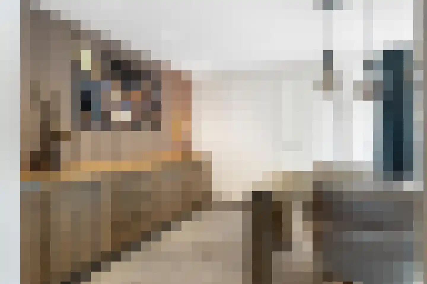Smeetsstraat 17 Stein thumbnail 14