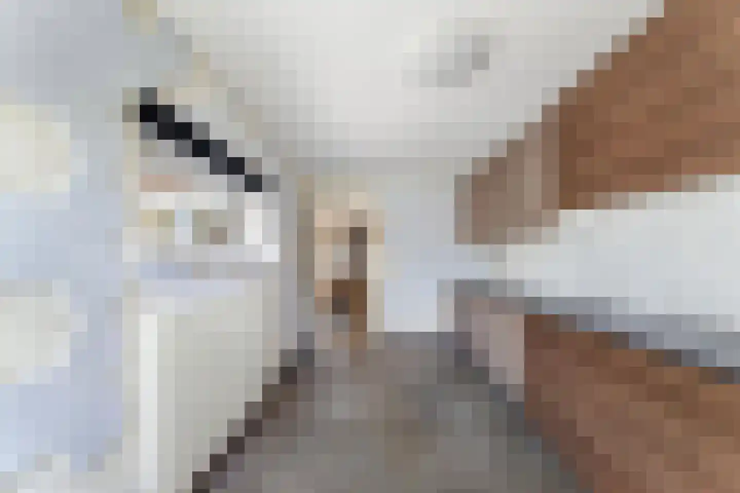 Smeetsstraat 17 Stein thumbnail 18