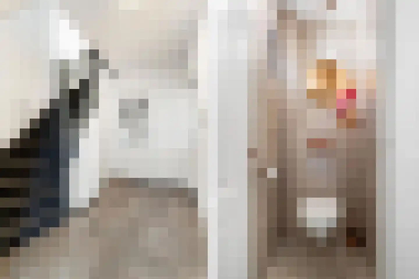 Smeetsstraat 17 Stein thumbnail 6
