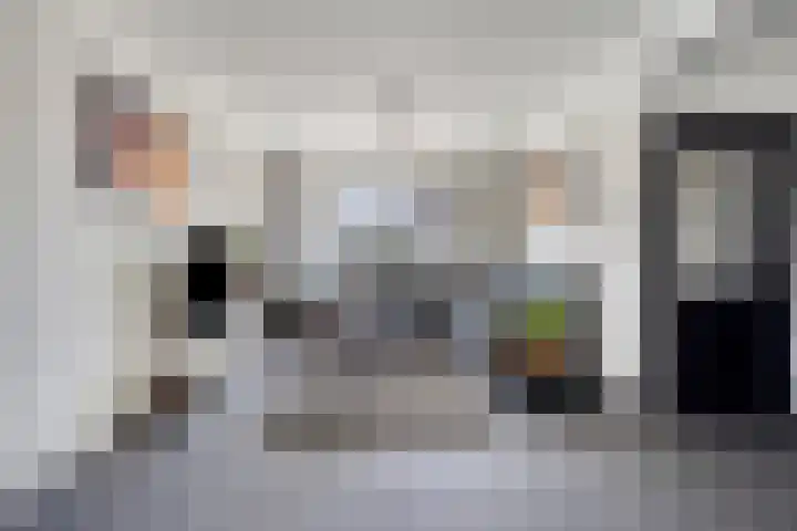 Smeetsstraat 84 Stein thumbnail 13
