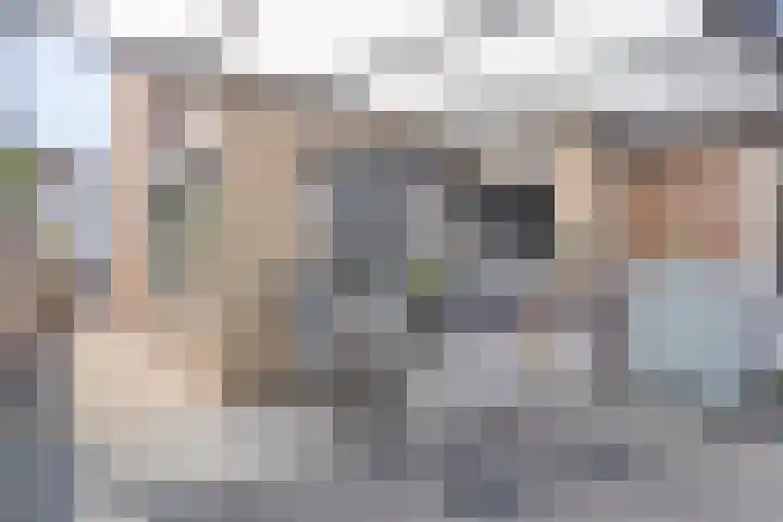 Smeetsstraat 84 Stein thumbnail 6