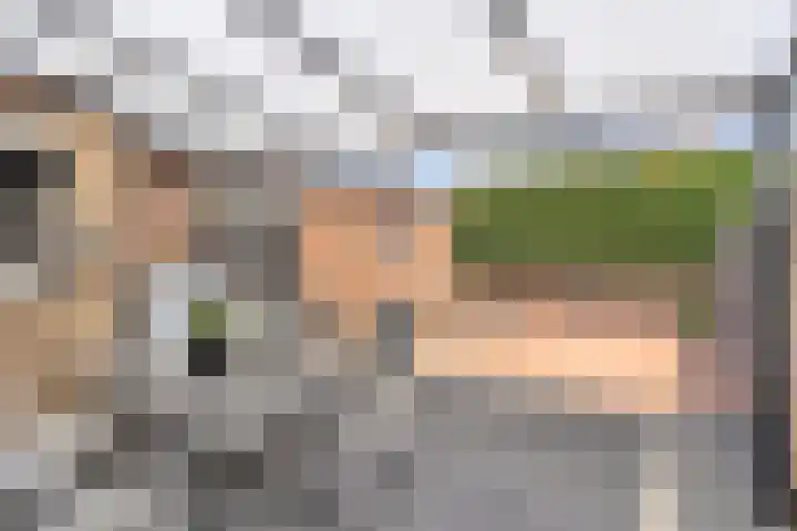 Smeetsstraat 84 Stein thumbnail 7