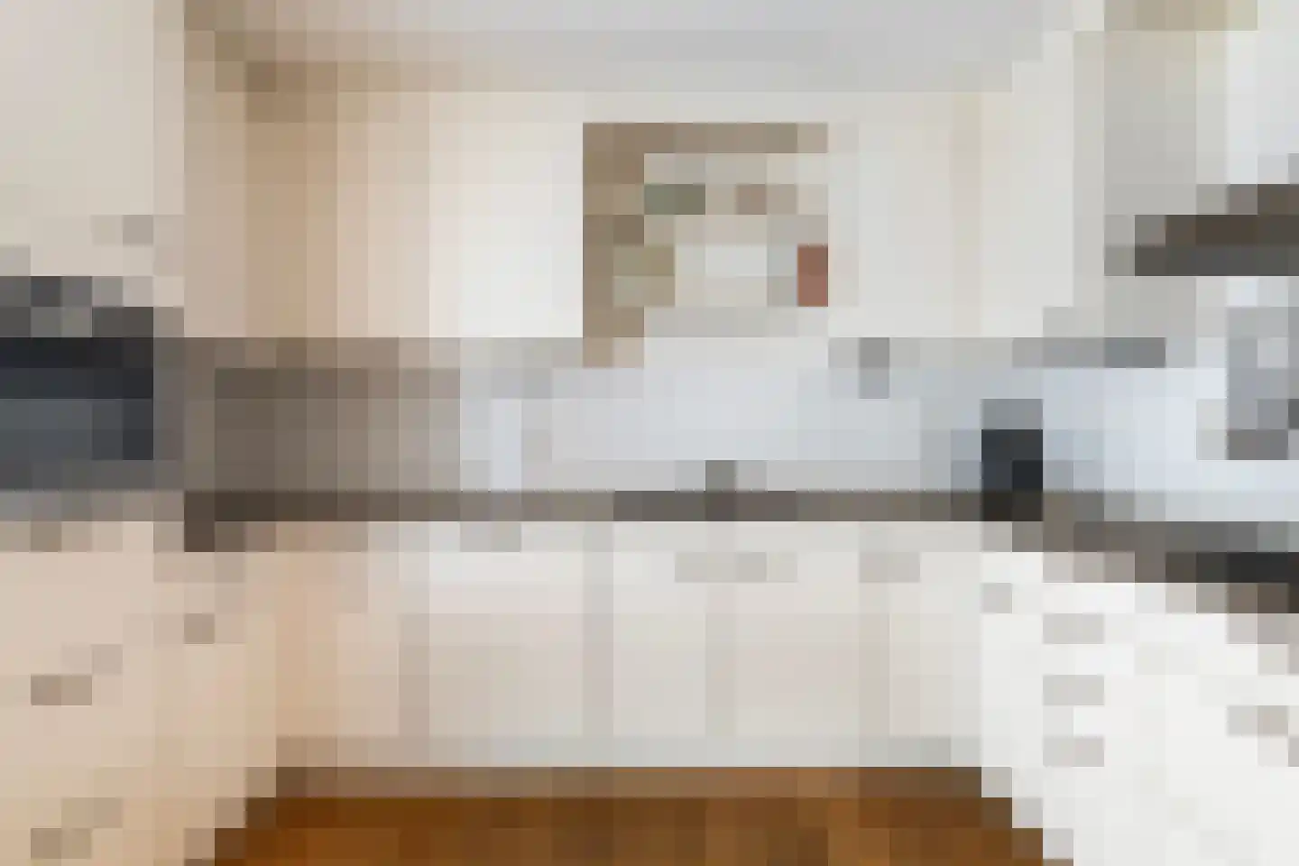 Smelbrêge 1 a Stiens thumbnail 15