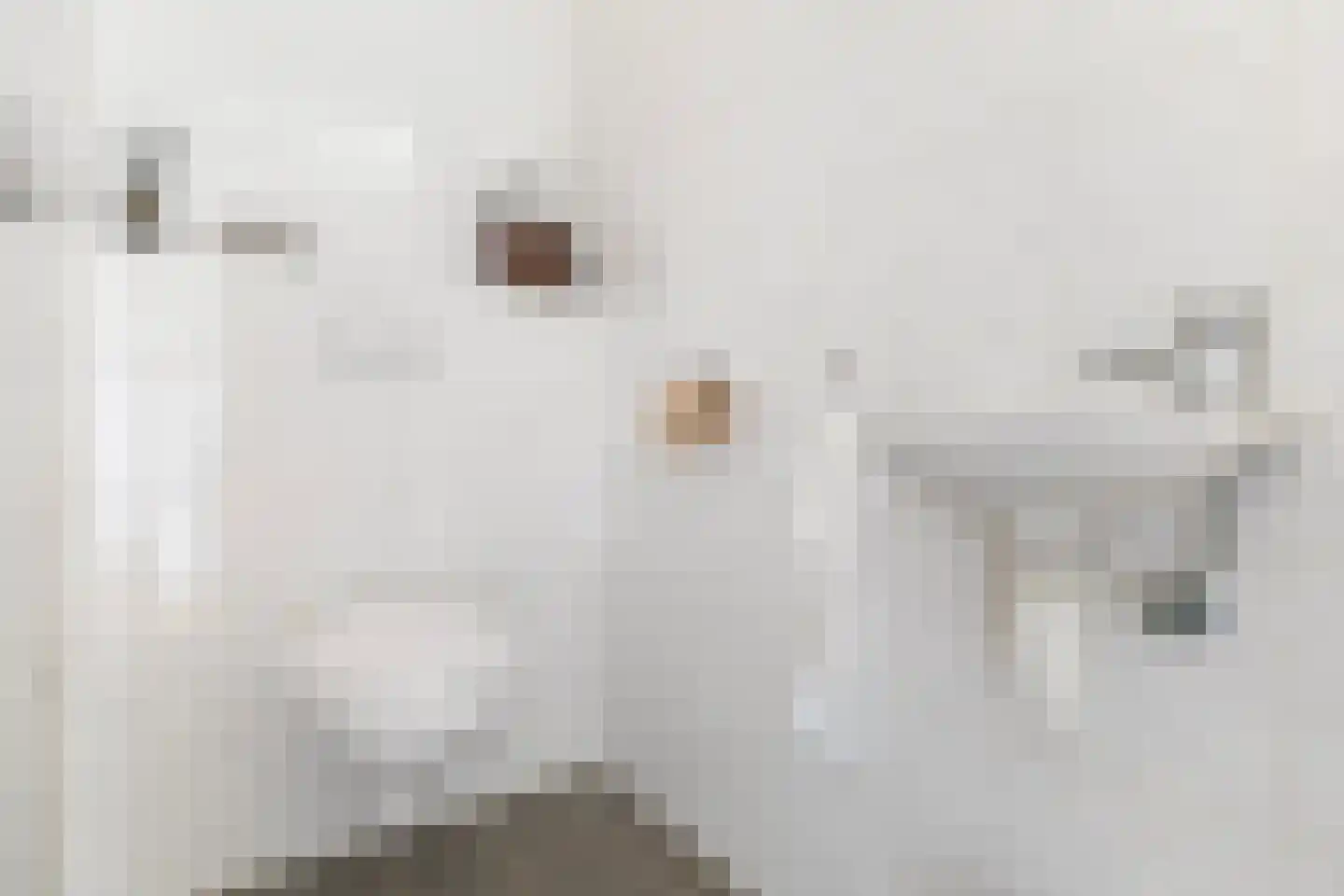 Smelbrêge 1 a Stiens thumbnail 19