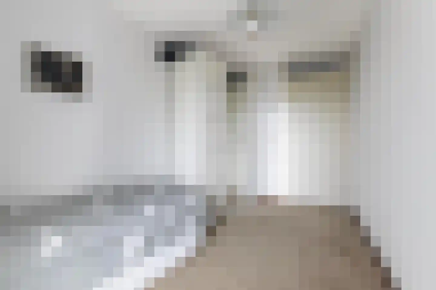 Smelbrêge 1 a Stiens thumbnail 25