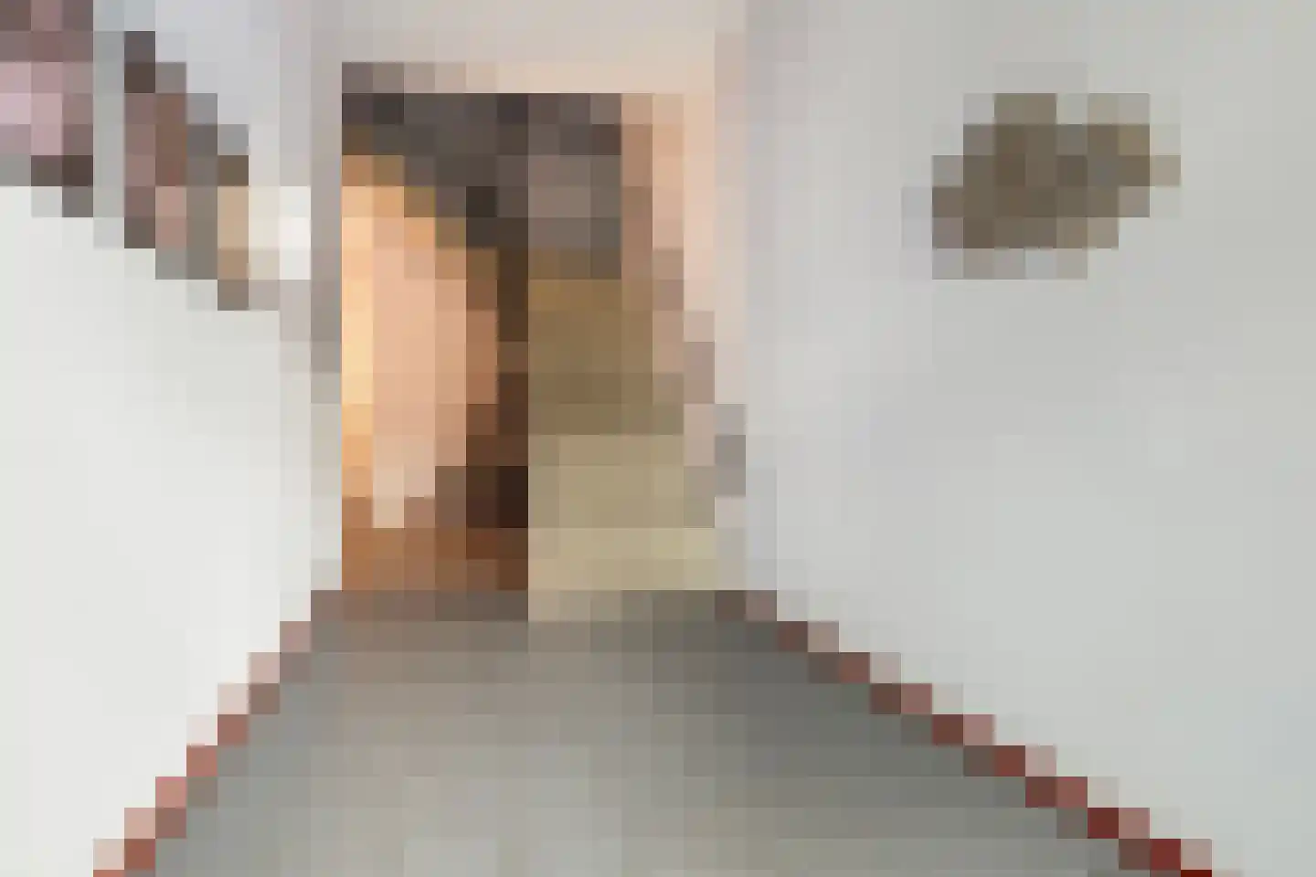 Smelbrêge 1 a Stiens thumbnail 30