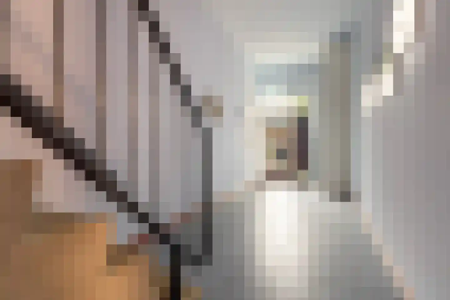 Smelbrêge 1 a Stiens thumbnail 32