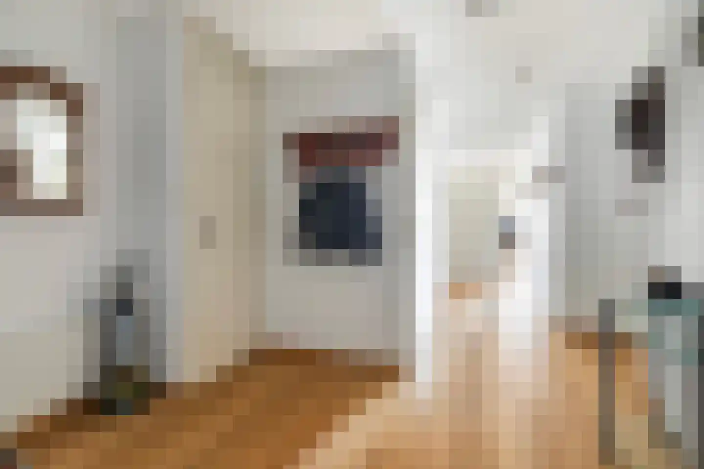 Smelbrêge 1 a Stiens thumbnail 4