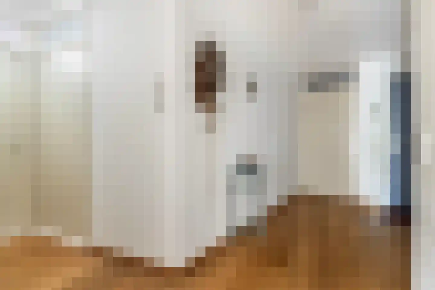 Smelbrêge 1 a Stiens thumbnail 5