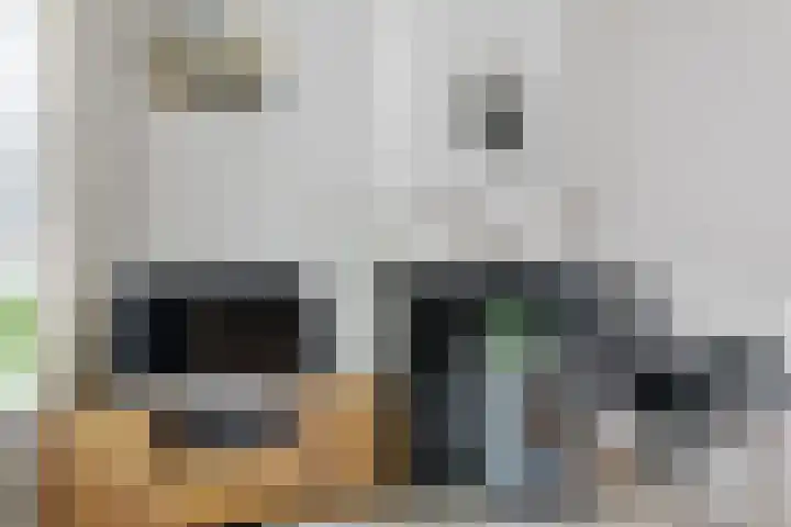 Smelbrêge 5 Stiens thumbnail 13