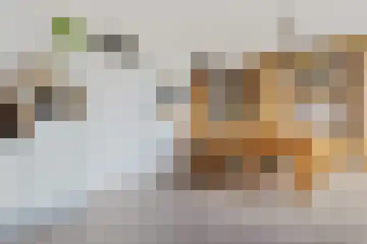 Smelbrêge 5 Stiens thumbnail 16