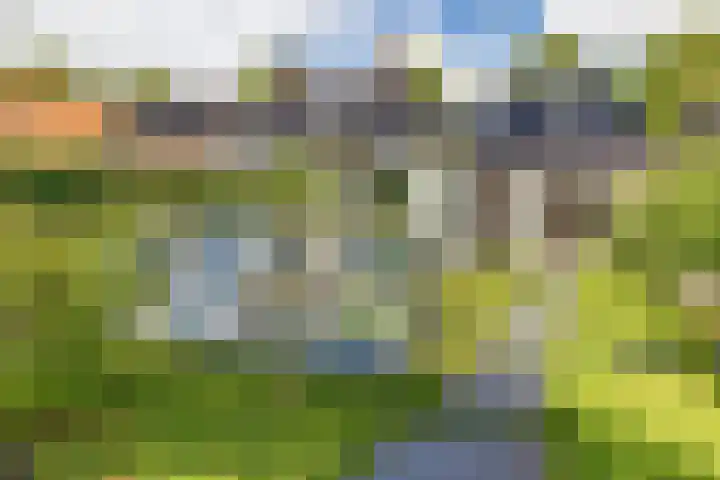 Smelbrêge 5 Stiens thumbnail 38