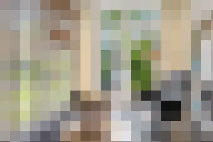 Smelbrêge 5 Stiens thumbnail 4