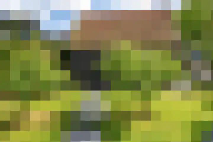 Smelbrêge 5 Stiens thumbnail 41