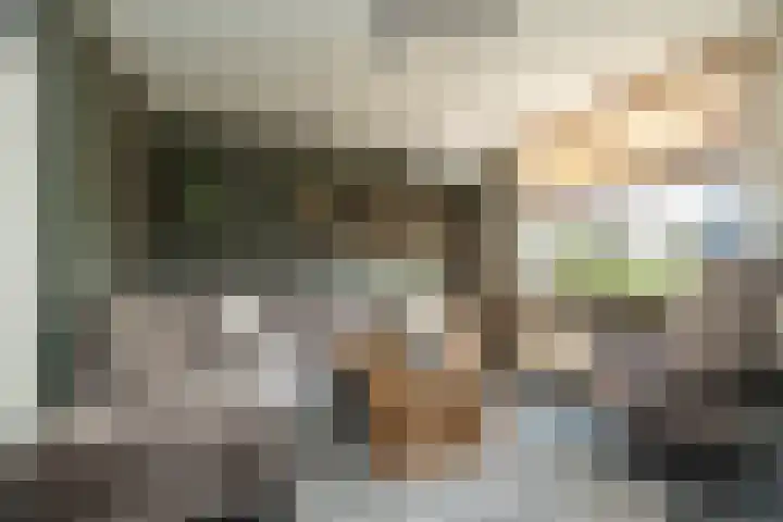 Smele 5 Hoogeveen thumbnail 10