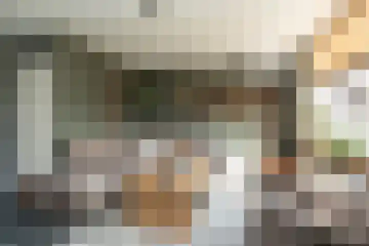Smele 5 Hoogeveen thumbnail 11