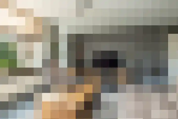 Smele 5 Hoogeveen thumbnail 12