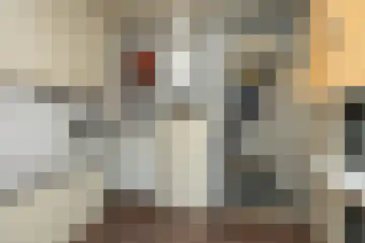 Smele 5 Hoogeveen thumbnail 22
