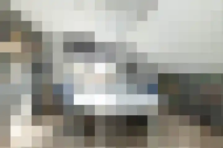 Smele 5 Hoogeveen thumbnail 33