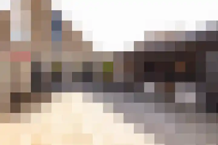 Smele 5 Hoogeveen thumbnail 4