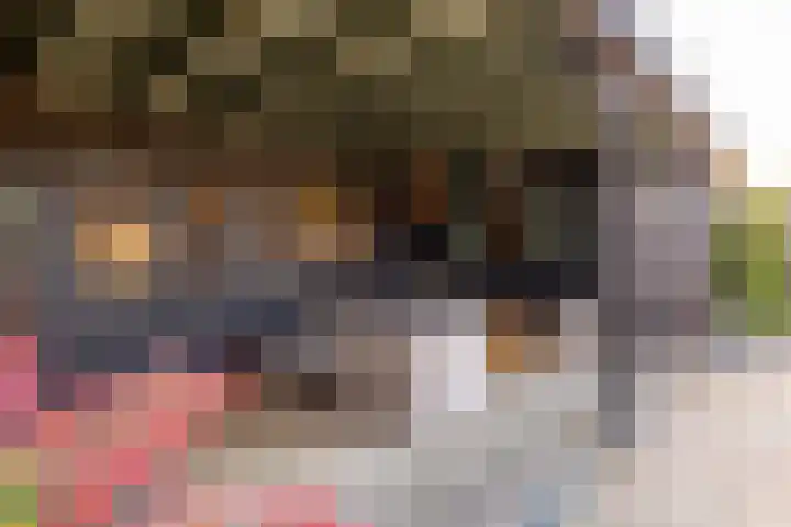 Smele 5 Hoogeveen thumbnail 44