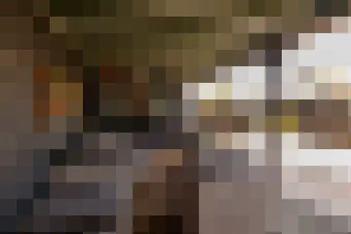 Smele 5 Hoogeveen thumbnail 45