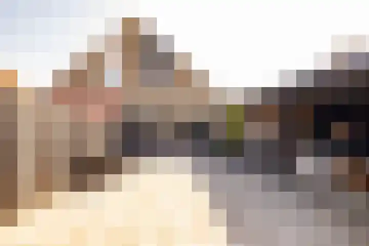 Smele 5 Hoogeveen thumbnail 46