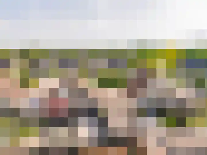 Smele 5 Hoogeveen thumbnail 48