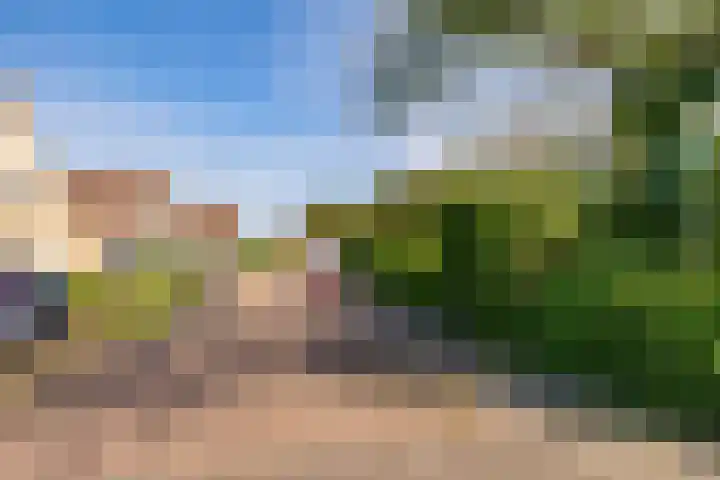 Smele 5 Hoogeveen thumbnail 53
