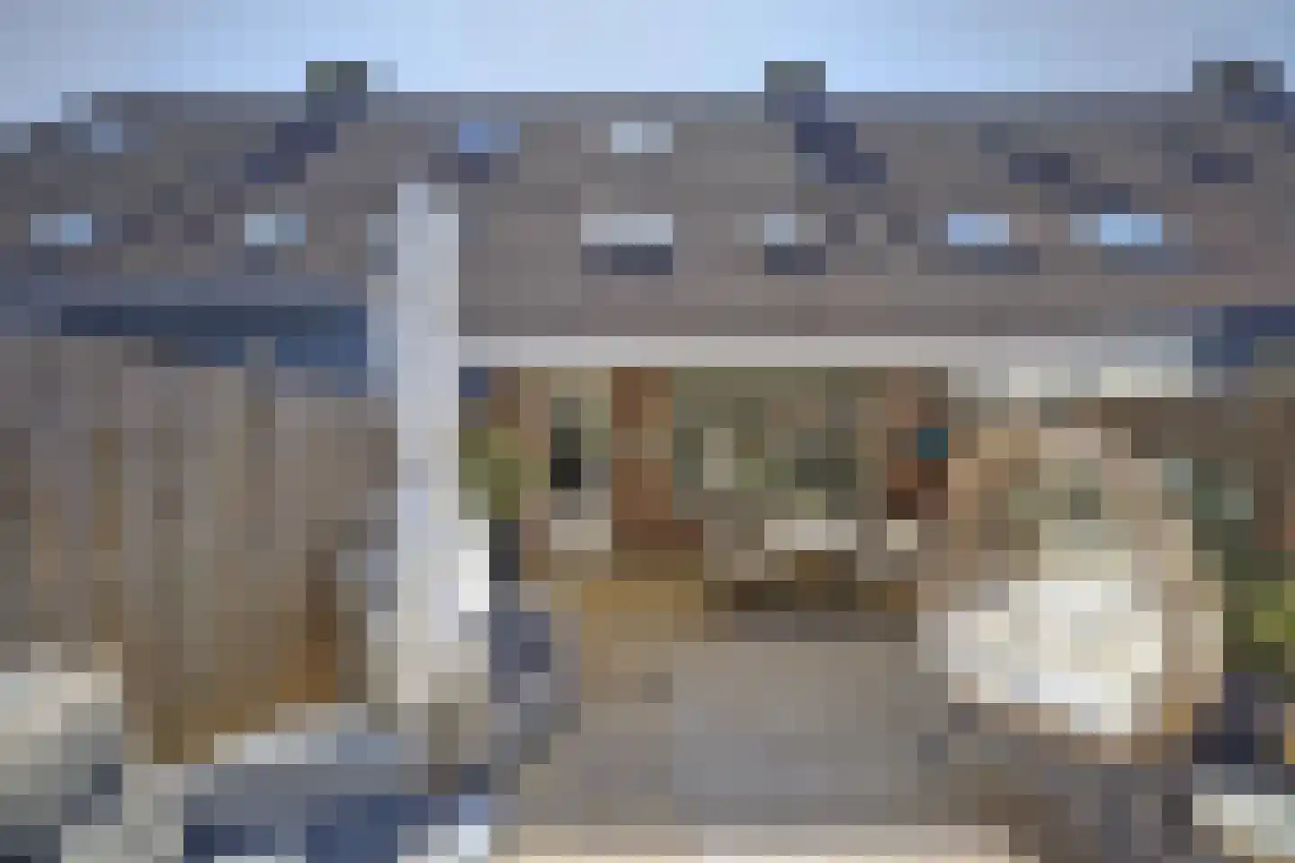 Smelegras 6 Spijkenisse thumbnail 33