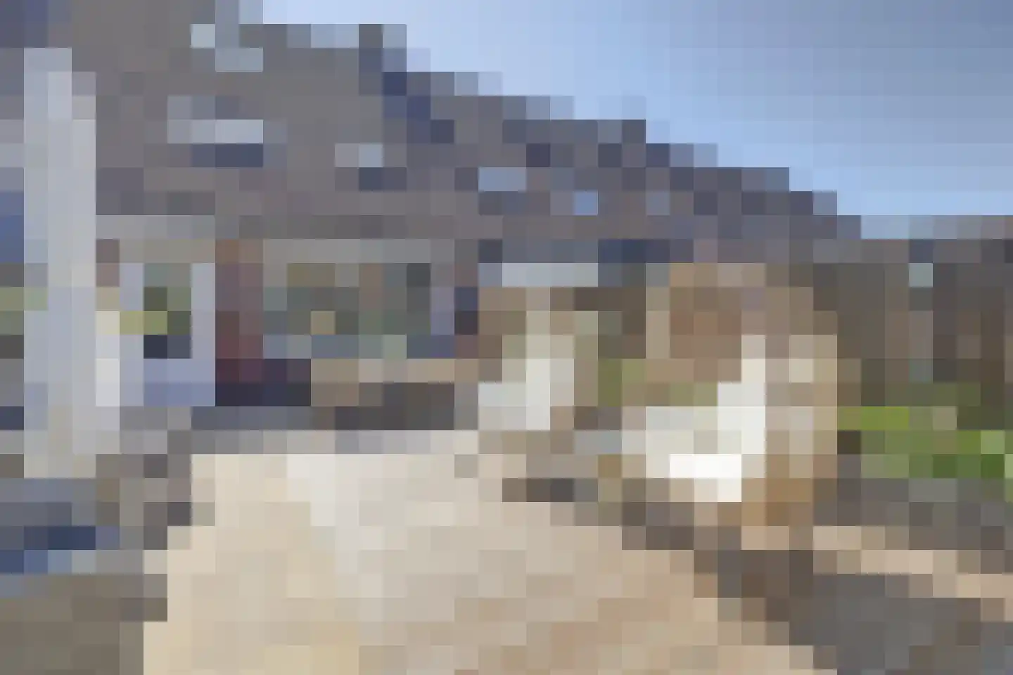 Smelegras 6 Spijkenisse thumbnail 34
