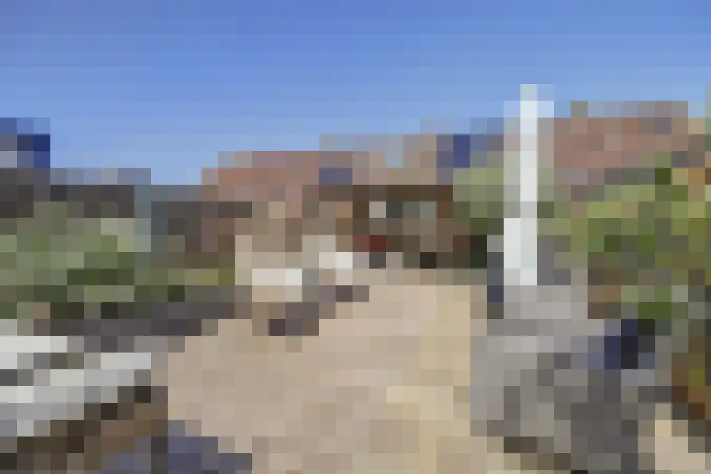 Smelegras 6 Spijkenisse thumbnail 35