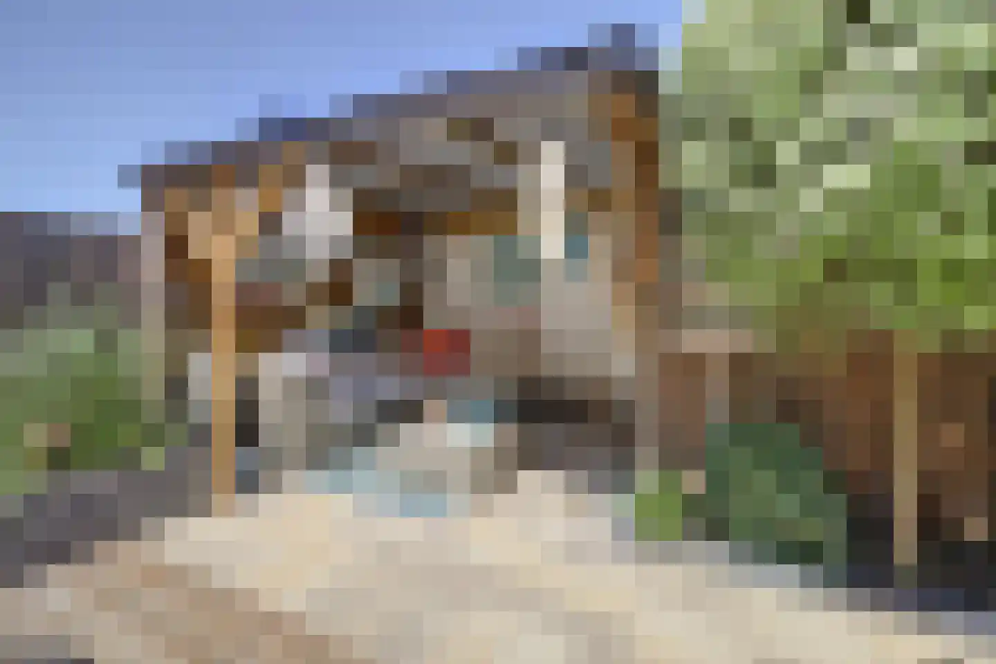 Smelegras 6 Spijkenisse thumbnail 36