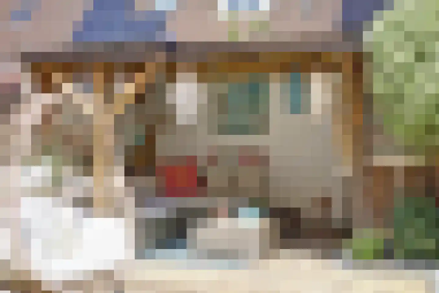 Smelegras 6 Spijkenisse thumbnail 37