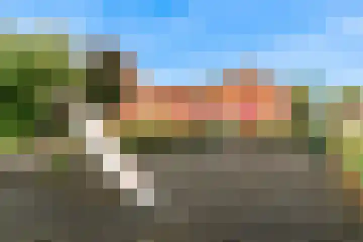 Smelegras 8 Spijkenisse thumbnail 37
