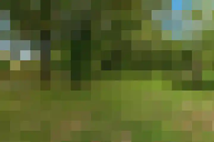 Smelegras 8 Spijkenisse thumbnail 38