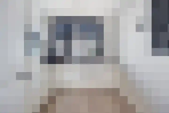 Smelen 102 Veldhoven thumbnail 12