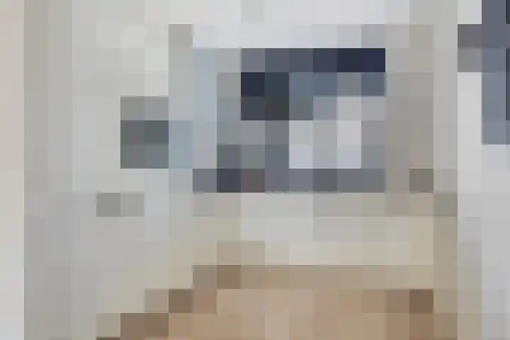 Smelen 102 Veldhoven thumbnail 13