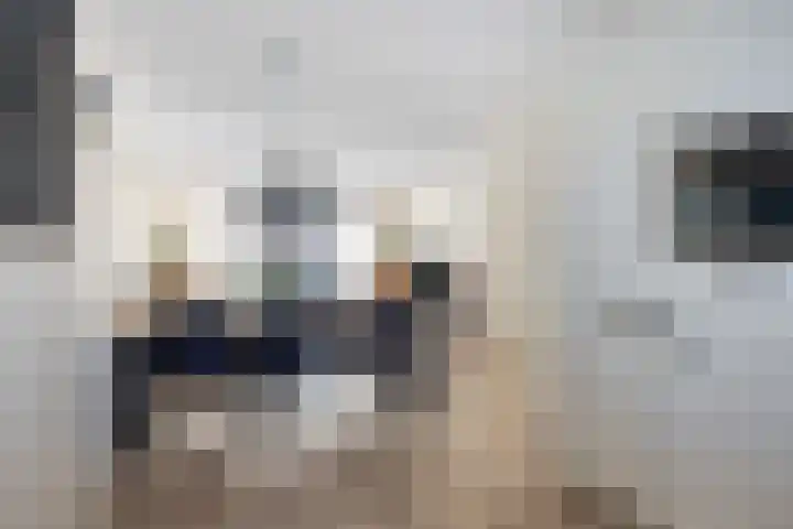 Smelen 102 Veldhoven thumbnail 16