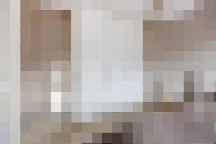 Smelen 102 Veldhoven thumbnail 20