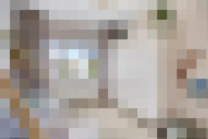 Smelen 102 Veldhoven thumbnail 21