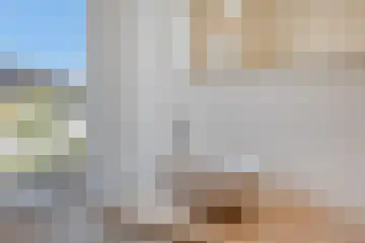 Smelen 102 Veldhoven thumbnail 25