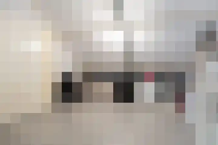 Smelen 102 Veldhoven thumbnail 28
