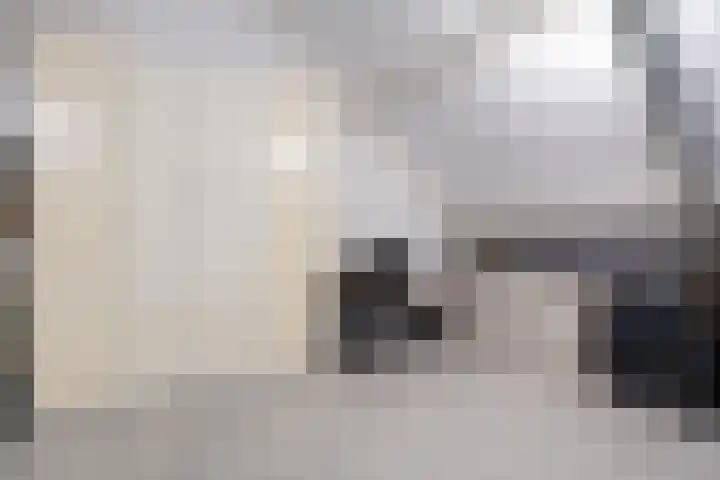Smelen 102 Veldhoven thumbnail 29